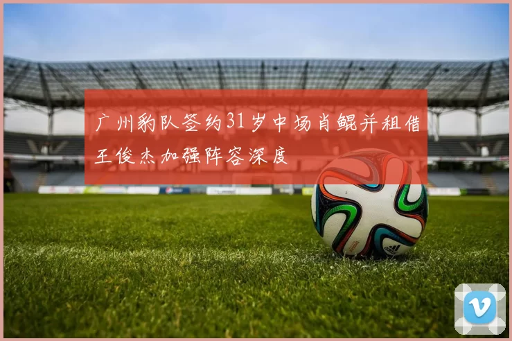 广州豹队签约31岁中场肖鲲并租借王俊杰加强阵容深度