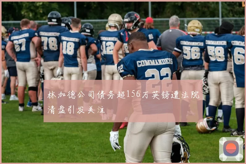 林加德公司债务超156万英镑遭法院清盘引发关注