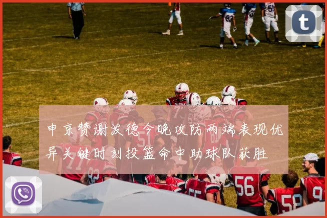 申京赞谢泼德今晚攻防两端表现优异关键时刻投篮命中助球队获胜