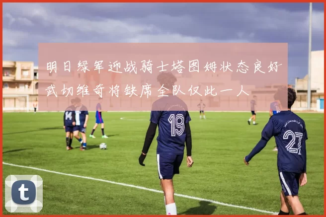 明日绿军迎战骑士塔图姆状态良好武切维奇将缺席全队仅此一人
